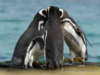 Fusing Voice of the Customer and Voice of the Employee