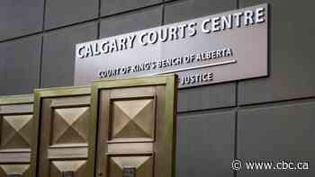 Teen pleads guilty in Boxing Day machete attacks at Calgary Zoo parking lot