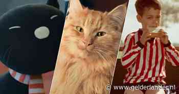 Deze televisiecommercial heeft de Ster Gouden Loeki 2023 gewonnen