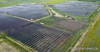 Critics say Alberta renewables report contradicts government proposals for industry