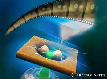 Scientists Catch Light-Driven Polymers in the Act