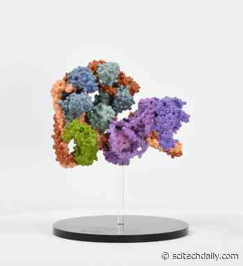 New Biology Unveiled for Fundamental Cellular Machinery