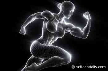 New Research Reveals That Exercise Benefits Women More Than Men