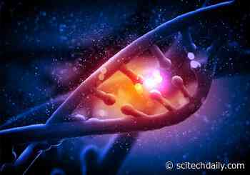 Scientists Decipher DNA’s Mysterious Hidden Rules Across Species