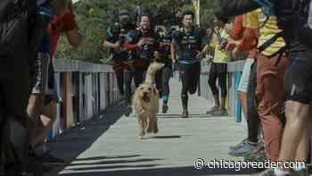 Review: Arthur the King