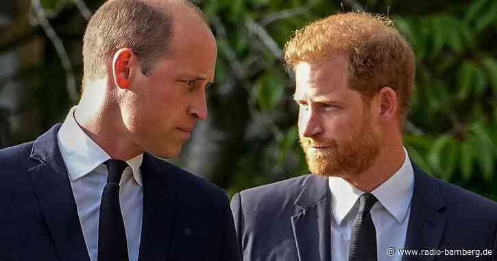 William und Harry treten bei Würdigung Dianas getrennt auf