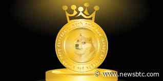 Dogecoin Open Interest Maintains Record Highs, Is A Crash Coming?