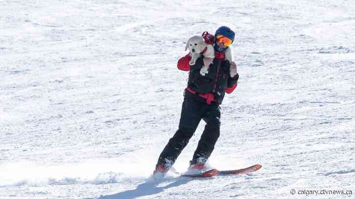 Adorable addition to southern Alberta ski resort