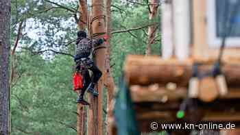 Grünheide: Protestcamp gegen Tesla - so bereiten sich Waldbesetzer auf Räumung vor