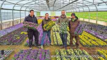 Anzeige: Gärtnerei Köberle produziert   vielfältiges Pflanzen- und Gemüseangebot selbst