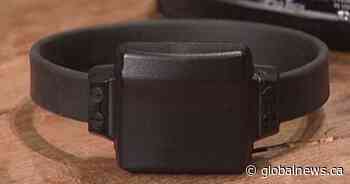 Alberta government introducing ankle-monitoring program for high-risk offenders