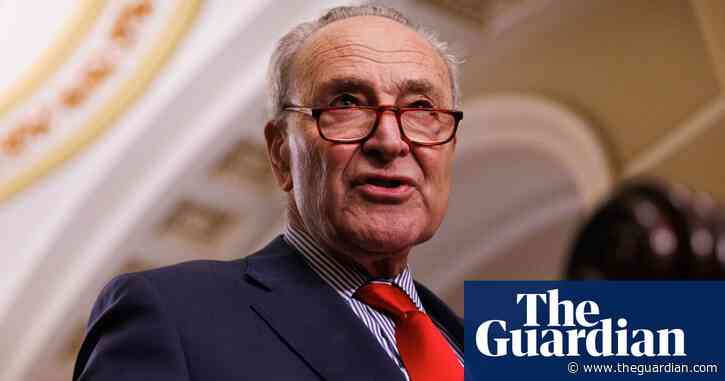 Schumer faces backlash after calling for new Israeli elections to oust Netanyahu