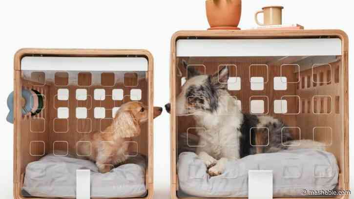 Save 20% at Fable Pets and treat good dogs to a new crate, toy, or bed