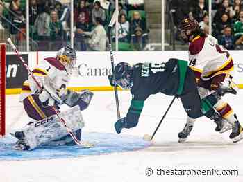 U Sports women's hockey nationals: Host Huskies fall to No. 1 seeded Concordia Stingers
