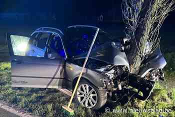 Man gewond nadat hij 30 meter door berm rijdt en frontaal op boom knalt