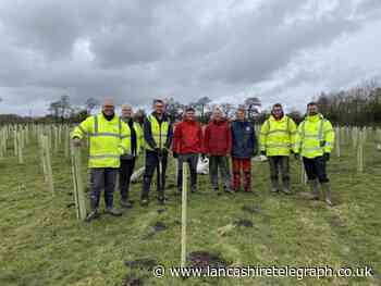 United Utilities help to plant trees in Forest of Bowland