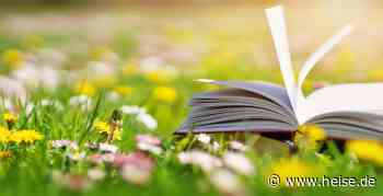 UI-Tool Storybook 8 bringt Add-on für visuelles Testing