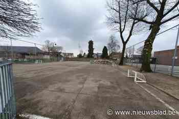Oudsbergse scholen vergroenen speelplaatsen: “Maar we gaan ze niet opbreken tot de laatste beton”