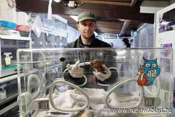 150 gewonde dieren uit De Pinte worden jaarlijks opgevangen in Merelbeke