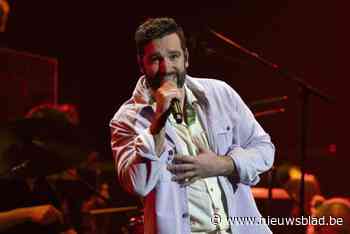 Metejoor topt affiche Zulzeekse Feesten