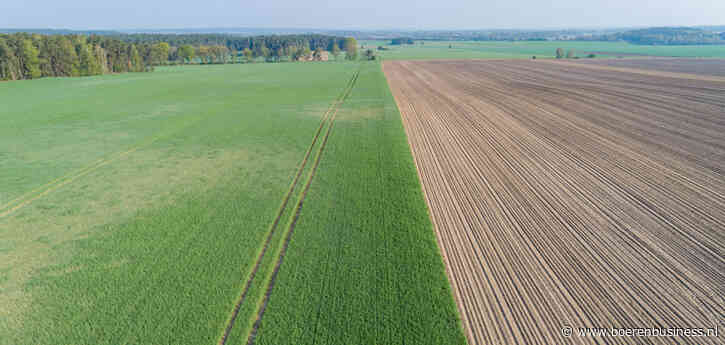 Natte herfst en winter kost opbrengst in Duitsland