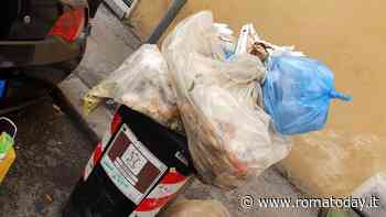 Avanti con i biodigestori: pubblicata la gara per realizzare gli impianti