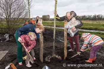 Gouds geboortebos weer stukje groter: 'Mooi symbool voor een nieuw leven'