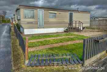 Hond sterft van pure ontbering nadat eigenaar dier maandenlang achterlaat in caravan: “Zaak overgemaakt aan parket”