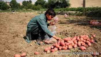 EU-Staaten stimmen für Lieferkettengesetz