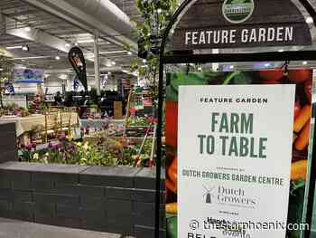 Gardenscape 2024: Get a sneak peak at spring in Saskatoon