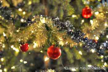 Kerstboomdieven krijgen werkstraf nadat ze restaurantuitbater in gezicht schoppen