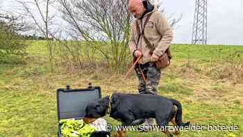 Hundetraining in Möttlingen: Mit Spürnasen gegen Bettwanzen