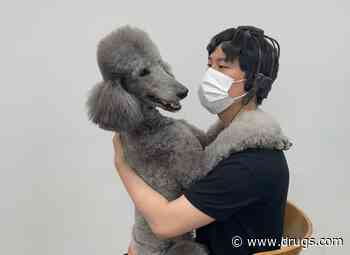 Pooch Power: 'Relax' Brainwaves  Begin When Folks Play With Dogs