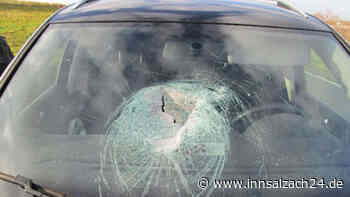 Stein fällt von Brücke und schlägt in Frontscheibe ein: Absichtlicher Wurf aus Menschengruppe?