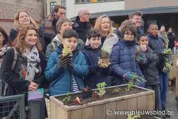 Gedeelde speelplaats creëert oefenkansen in Frans en Nederlands