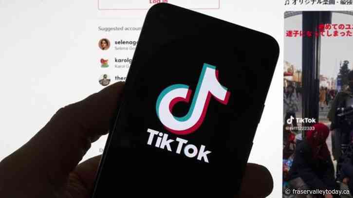 No concerns about kids’ use of TikTok despite security review: industry minister