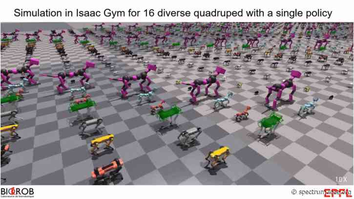 Video Friday: Many Quadrupeds