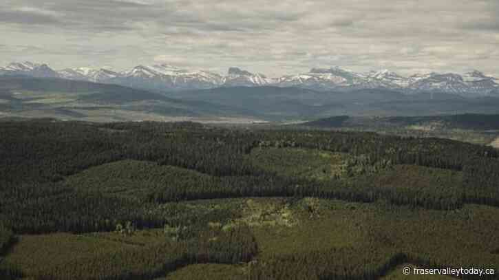 Alberta government releases no-go zone map for renewable power projects