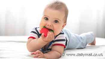 Scientists identify 16,000 plastic chemicals used in products like water bottles, teething toys and blood bags- and at least 4,200 deemed 'highly hazardous' to human health