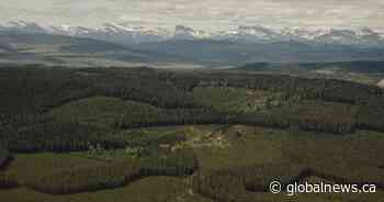 Alberta government releases map showing what areas are off-limits for renewable power projects