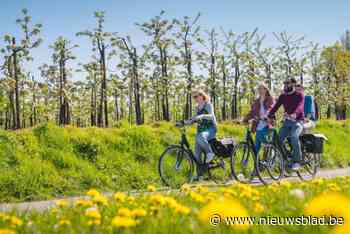 Bloesems dit jaar uitzonderlijk vroeg: is het Hageland klaar voor de dagjestoeristen?