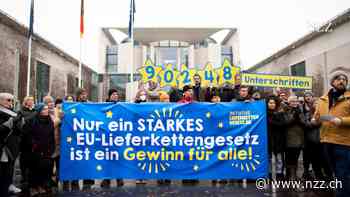 Gegen Kinderarbeit und Umweltverbrechen: Die EU einigt sich auf ein Lieferkettengesetz