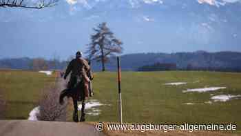 Mann steigt von Pferd ab und schlägt einen Autofahrer