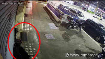 Escrementi e olio motore contro la serranda del negozio, il grido d'allarme dell'ottico di Colli Albani