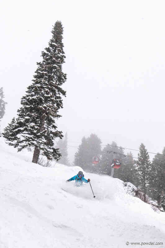 Powder Review: Kästle Paragon 107