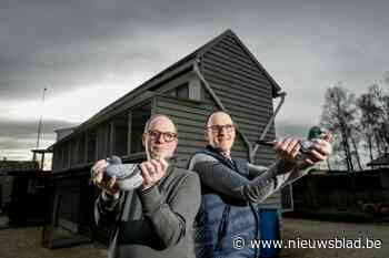 Duivenmelkers veilen bijna 100 duiven voor het goede doel: “Meer dan 1.200 euro geboden op een duif”