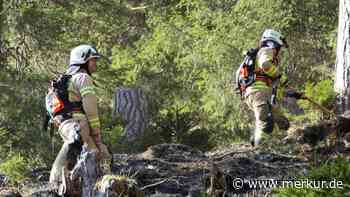 Brandstiftung am Plansee: Zigaretten entfachen Feuer im Wald  - Verursacher festgenommen