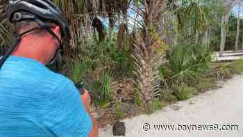 Manatee County commissioners move forward with Emerson Point Preserve 97-acre expansion