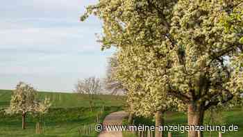 Entdecken Sie NRW: Leichte Wanderrouten für Einsteiger