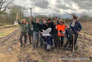 Acht leerlingen VIBO planten 1.400 bomen in een dag: “Hun prestatie is ontzettend knap”